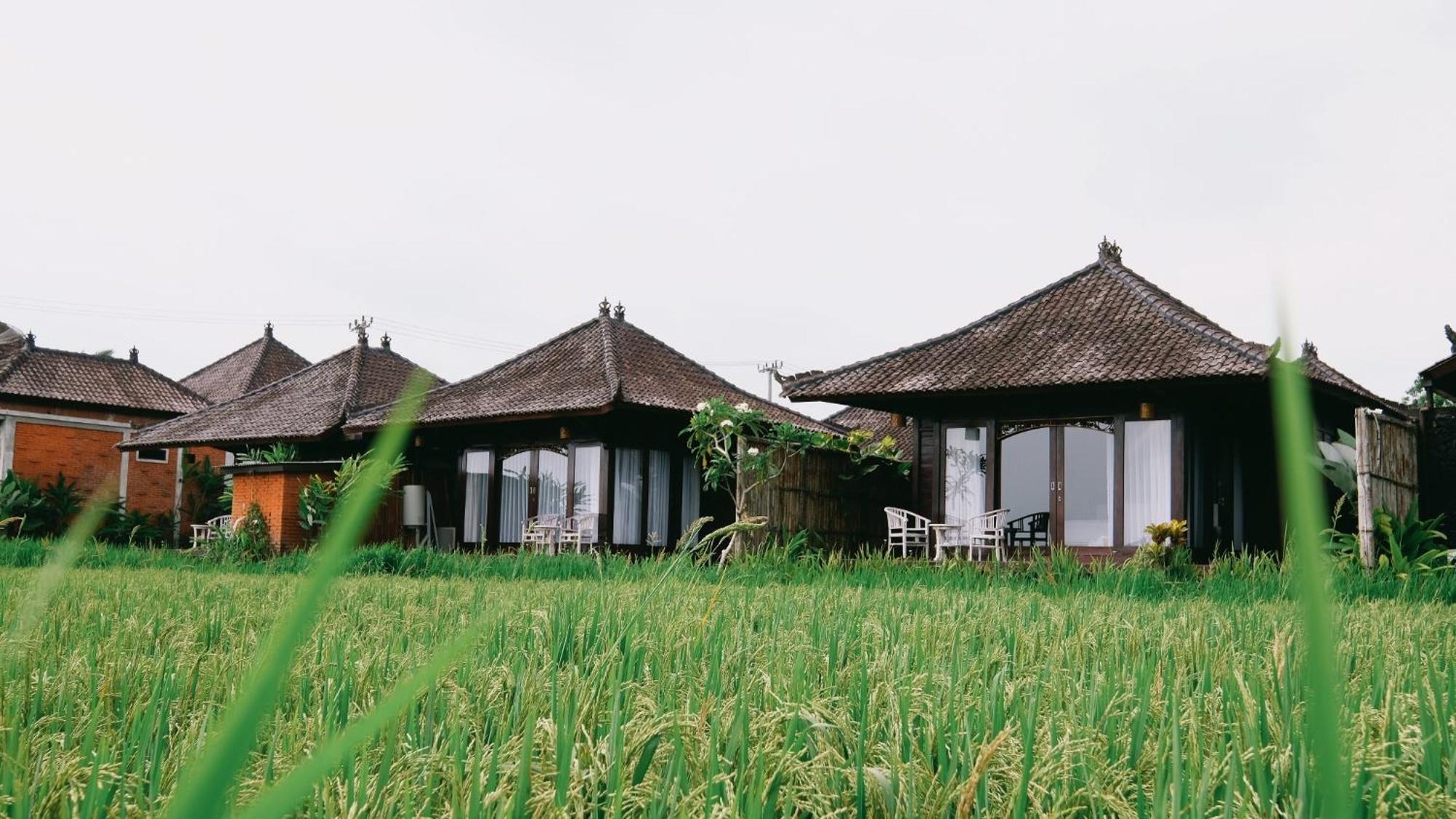 Kayangan Villa Ubud Tegallalang  Exterior foto