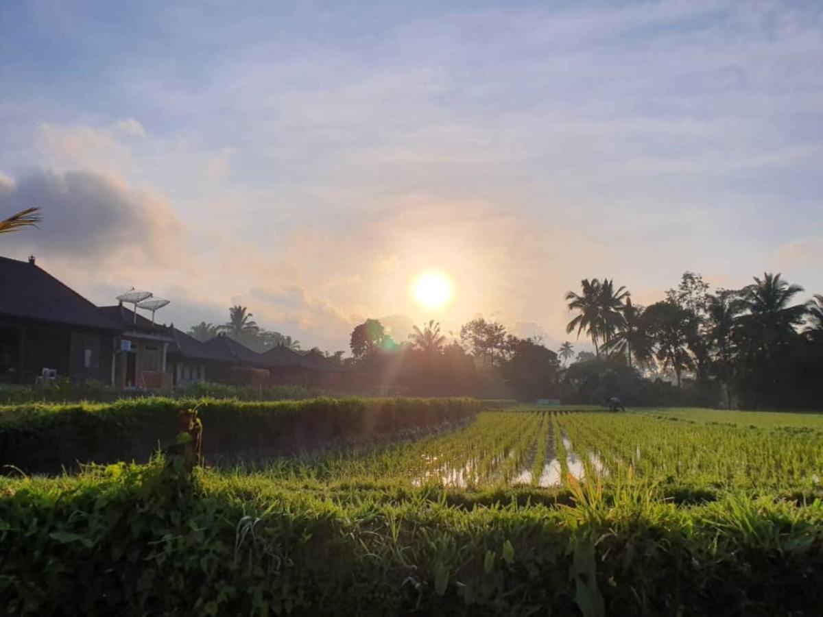 Kayangan Villa Ubud Tegallalang  Exterior foto